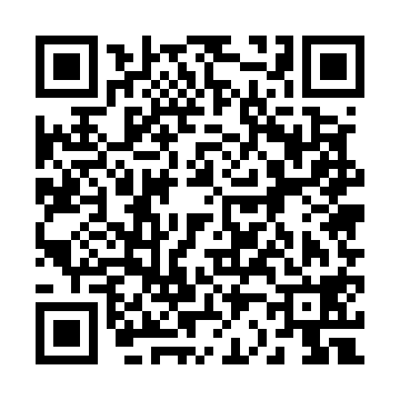QR code for 225518M
