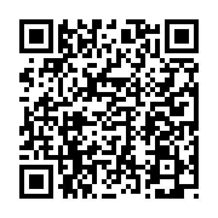 QR code for 225519T