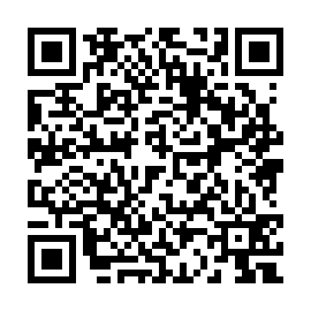 QR code for 228333V