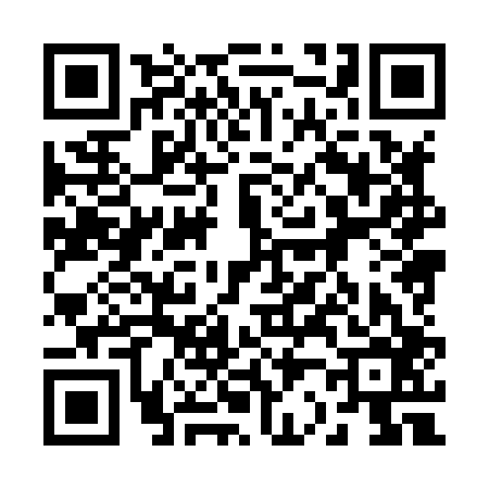 QR code for 228806I