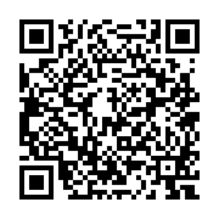 QR code for 233381Q