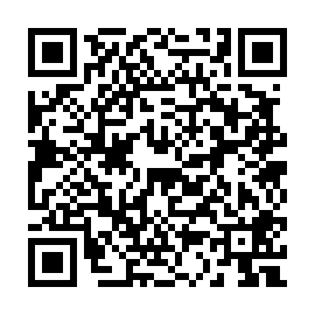 QR code for 233408H