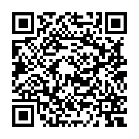 QR code for 233827X