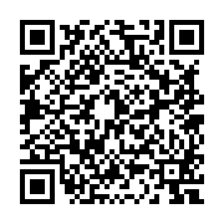 QR code for 233881X