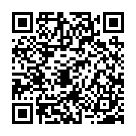 QR code for 234222P