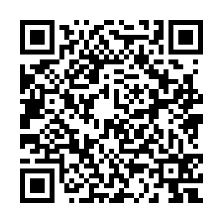 QR code for 238336P
