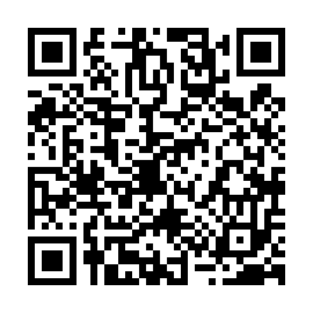 QR code for 238413H