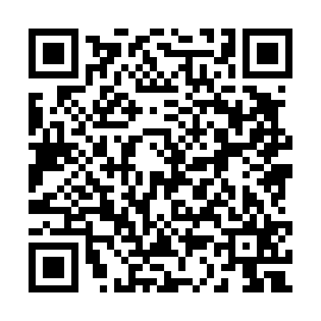 QR code for 238425N