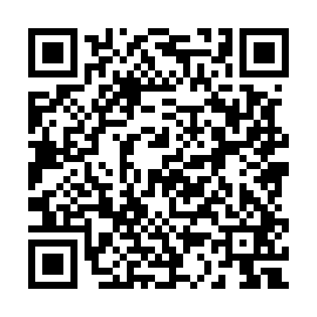 QR code for 238541G