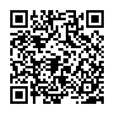 QR code for 241100T
