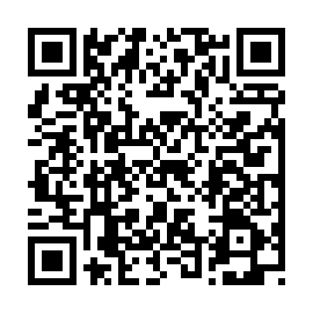 QR code for 246445P