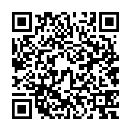 QR code for 2466384