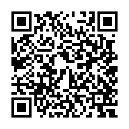 QR code for 247046E