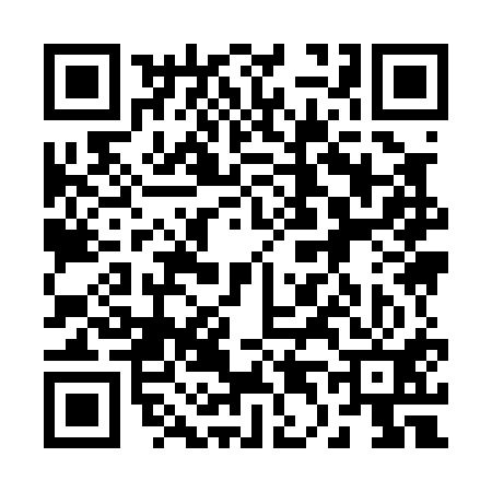 QR code for 249011X