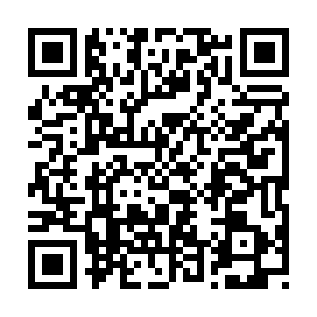 QR code for 2490438
