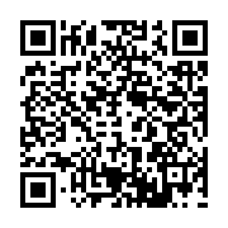 QR code for 249384X