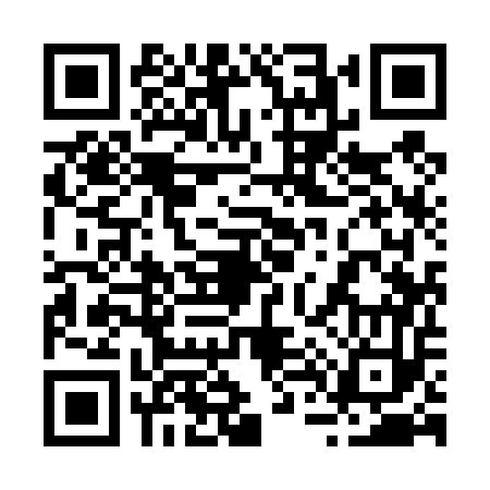 QR code for 249453C