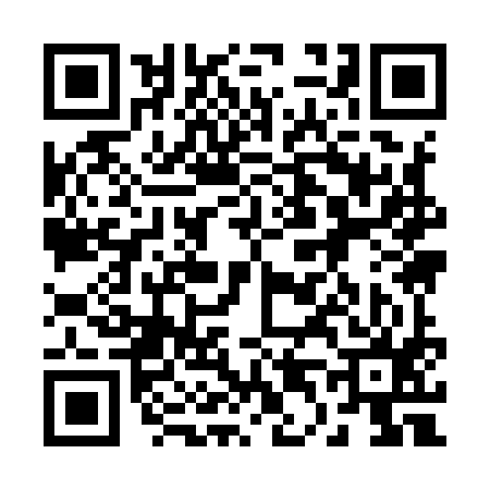QR code for 249995T