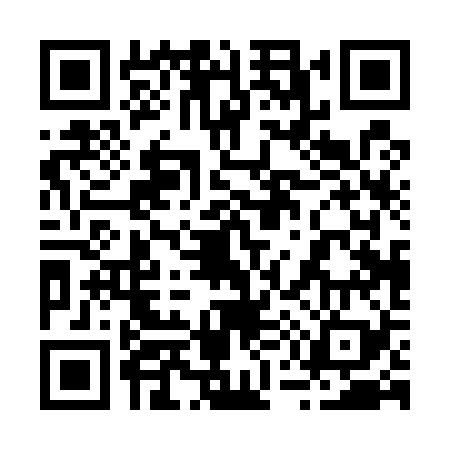QR code for 250529H