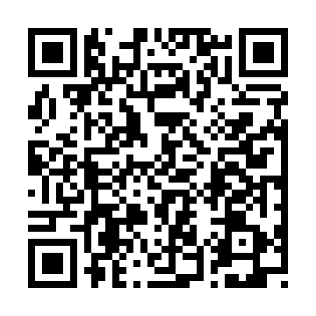 QR code for 256163P
