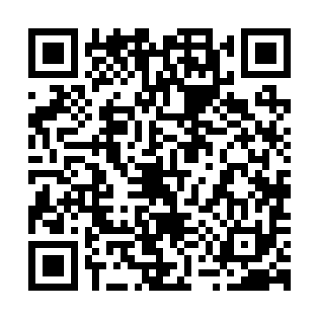 QR code for 258291P