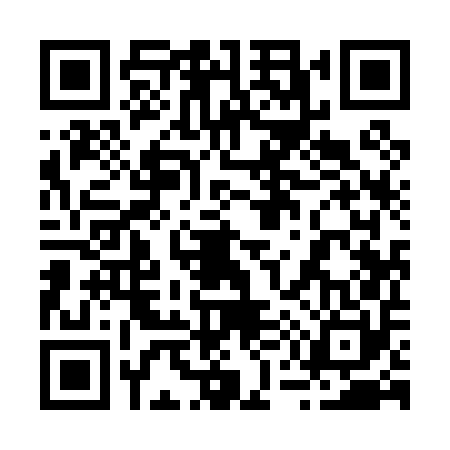 QR code for 259050P