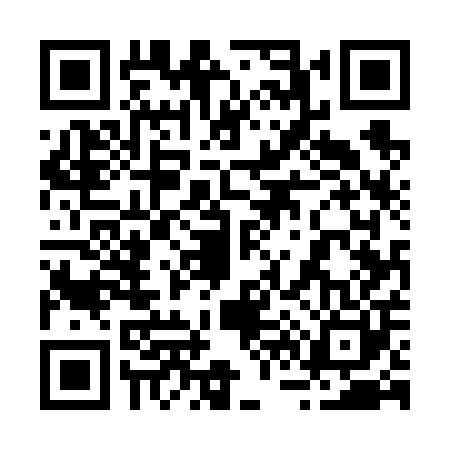 QR code for 265600V