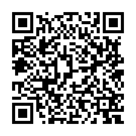 QR code for 2838227
