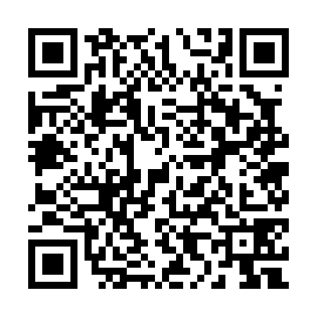 QR code for 2870782