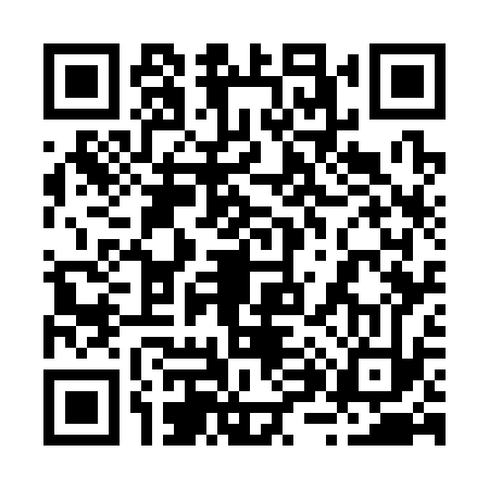 QR code for 287333P