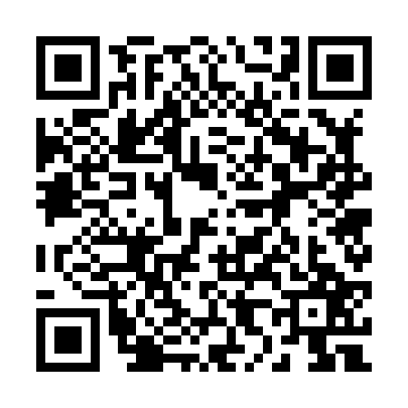 QR code for 2878272