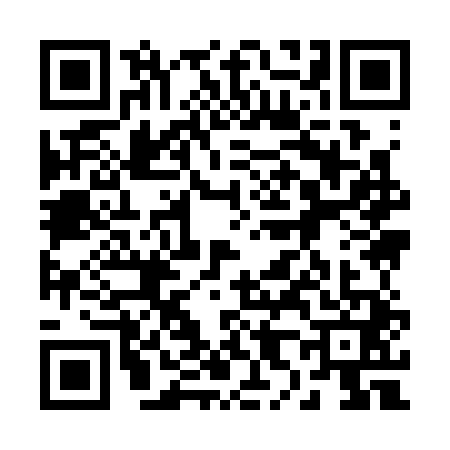 QR code for 2893411