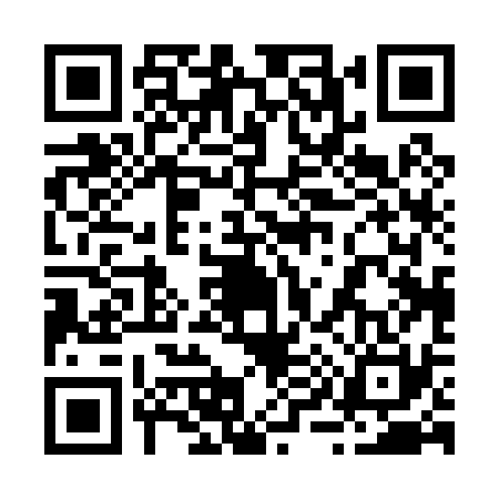 QR code for 290030X