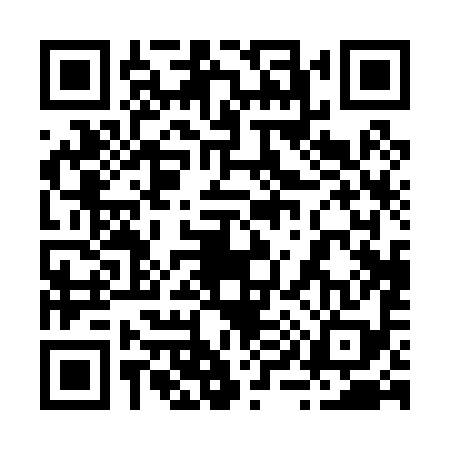 QR code for 290098X