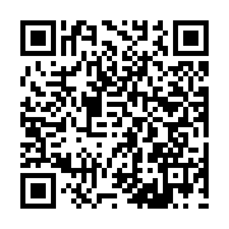 QR code for 290225Y