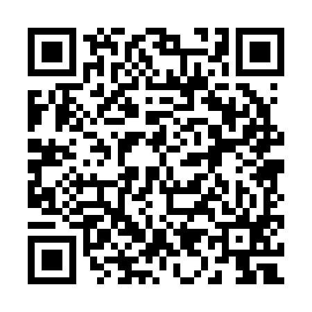 QR code for 290295V