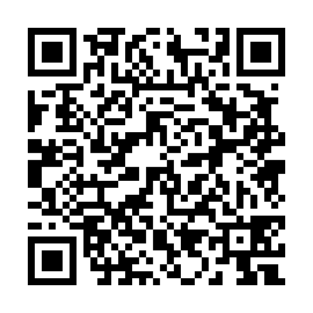 QR code for 290438X