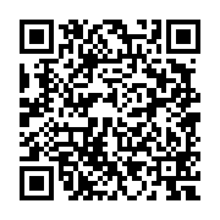 QR code for 290499C