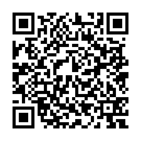 QR code for 290533L