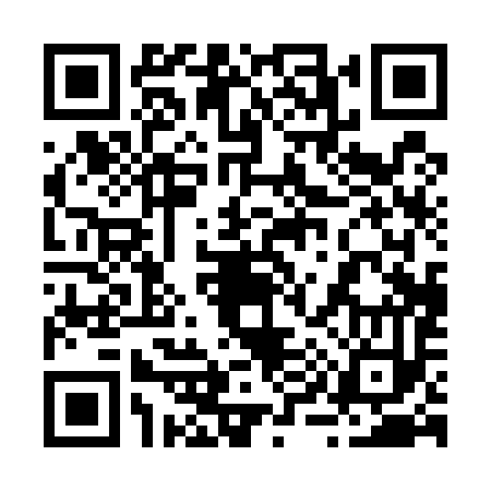 QR code for 290593L