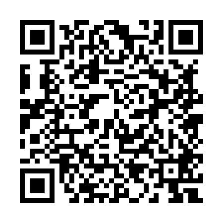 QR code for 290848X