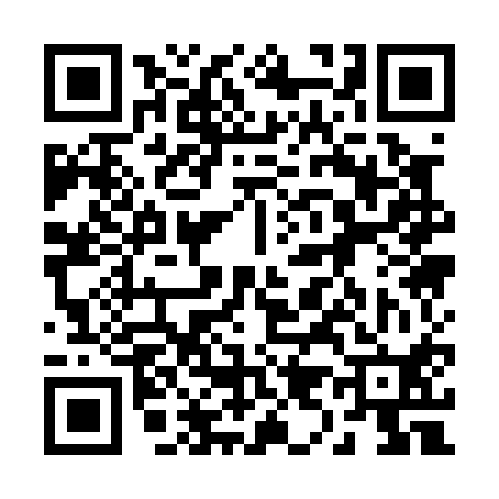 QR code for 291010Y