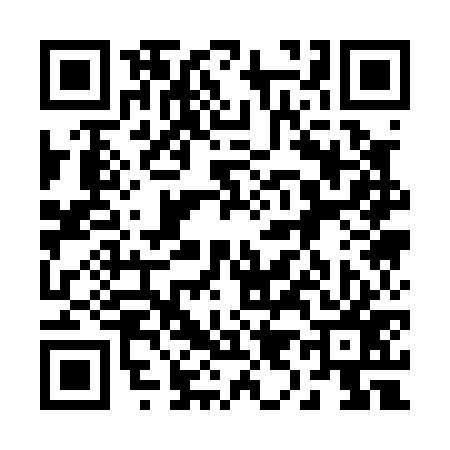 QR code for 291077Y