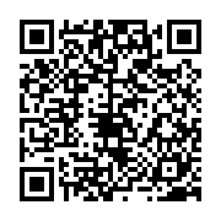 QR code for 291125I