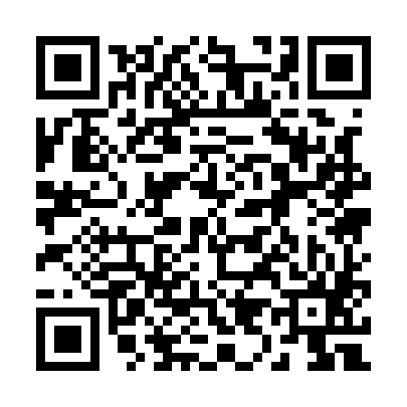 QR code for 291185T
