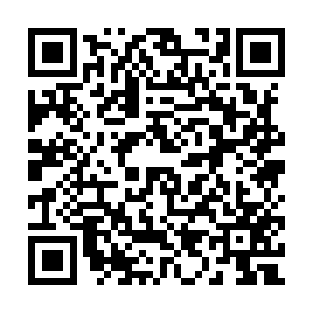 QR code for 2919573