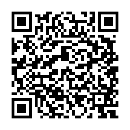 QR code for 2924833