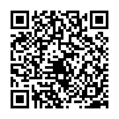 QR code for 293015P