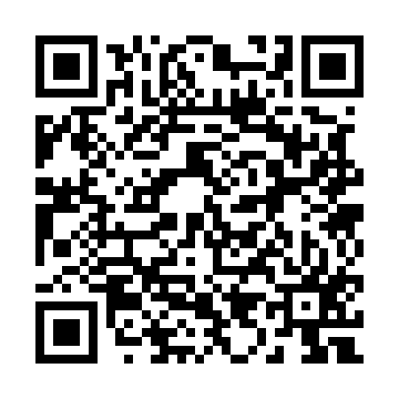 QR code for 293517T