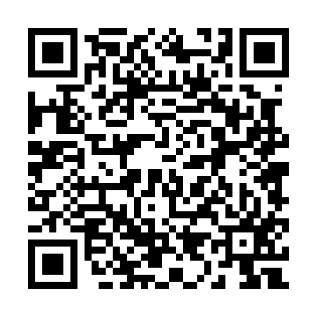 QR code for 294017T